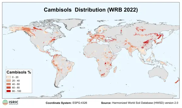 Cambisols distribution Cambisols