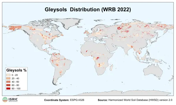 Gleysols distribution Gleysols